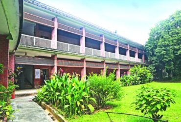 দিনাজপুর চারুকলা ইনস্টিটিউট