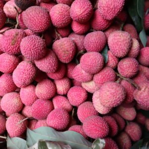 বোম্বাই লিচু